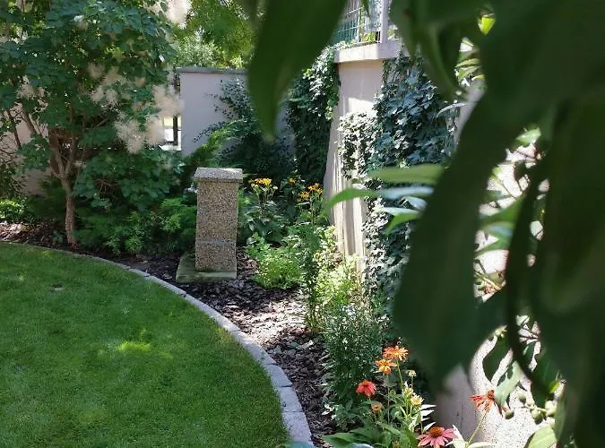 Panyi * シオーフォク