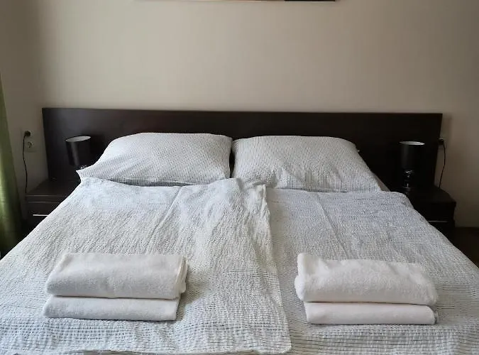 Panyi アパート *